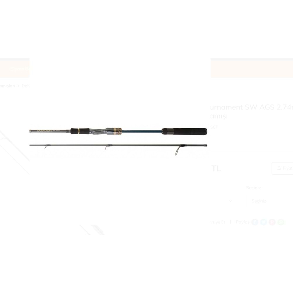 Daiwa New Tournament SW AGS 2.74m 14-42gr 2P Olta Kamışı