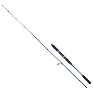 Ryuji Strobe II 1.68m 40-110gr 2P Jig Olta Kamışı