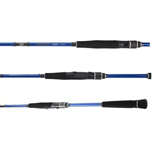 Daiwa Samourai Seabass 2.70m 14-42gr 2P Kamış