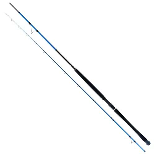 Ryuji Shore Game Fuji 285 cm 25-85 gr 2 Parça Shore Jig Kamış